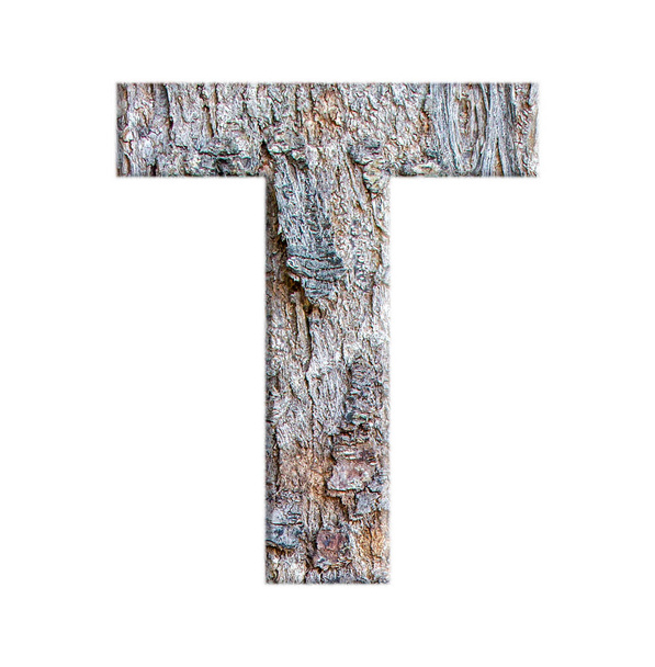 alphabets from bark tree isolated on white background : Letter T - Fotografie, Obrázek