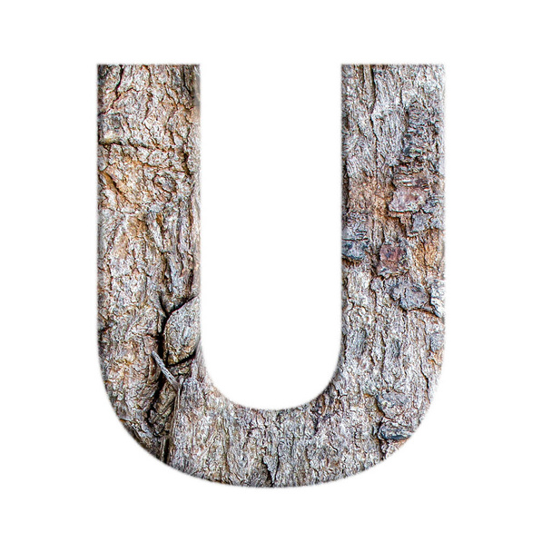 alphabets from bark tree isolated on white background : Letter U - Fotó, kép
