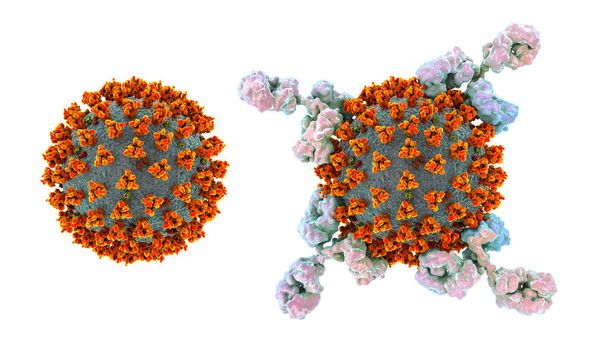 Антитела, атакующие вирус SARS-CoV-2, коронный вирус, вирусы COVID-19, концептуальная 3D иллюстрация для лечения, диагностики и профилактики COVID-19. Концепция производства и вакцинации вакцин - Фото, изображение