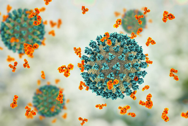 SARS-CoV-2 virüsüne saldıran antikorlar, korona virüsü, COVID-19 virüsleri, COVID-19 tedavisi için kavramsal 3D illüstrasyon, tanı ve önleme. Aşı üretimi ve aşı kavramı - Fotoğraf, Görsel