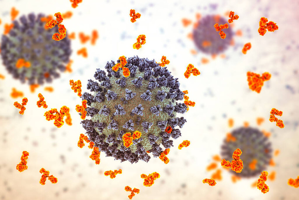 SARS-CoV-2 virüsüne saldıran antikorlar, korona virüsü, COVID-19 virüsleri, COVID-19 tedavisi için kavramsal 3D illüstrasyon, tanı ve önleme. Aşı üretimi ve aşı kavramı - Fotoğraf, Görsel