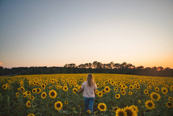A female standing in the middle of a field filled with sunflowers captured at sunset - Photo, Image