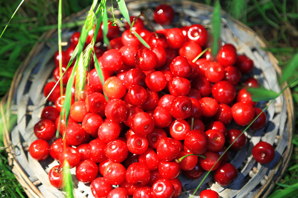 Sweet cherries on wicker stand on grass background - Фото, зображення