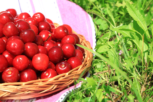 Sweet cherries on wicker stand with napkin on grass background - Фото, зображення
