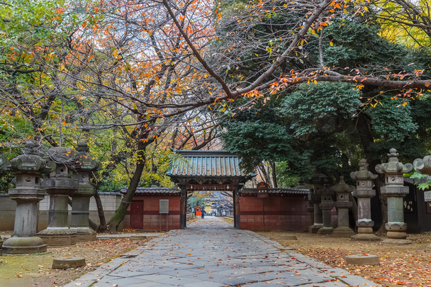 Santuario Toshogu al Parco Ueno di Tokyo
 - Foto, immagini