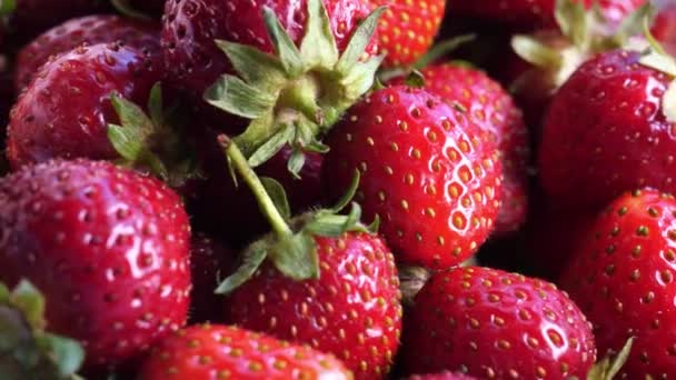 fraises sur le marché - Séquence, vidéo