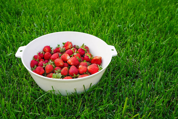 Ernte reifer, köstlicher Erdbeeren im Becher auf grünem Gras - Foto, Bild
