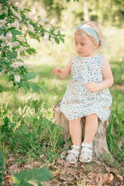 A little girl sits on a stump in a park near a flowering apple tree - Fotó, kép