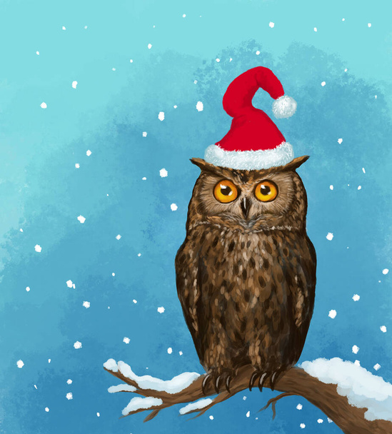 Cute bright Christmas card banner with a beautiful owl in a Christmas hat that sits on a tree branch on a blue background - Photo, image