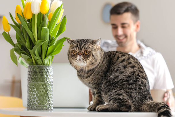Niedliche Katze und Vase mit Tulpenblumen auf dem Tisch in der Küche - Foto, Bild