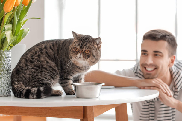Hombre joven y lindo gato cerca de cuenco con comida en la cocina - Foto, Imagen