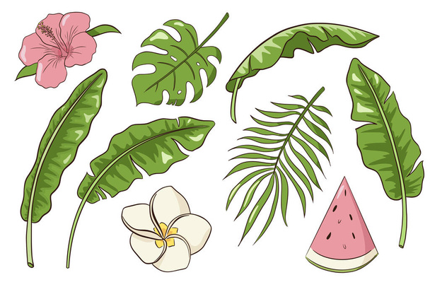 Hand Drawn Exotic Flowers and Leaves Vector Isolated Elements Collection, nature tropic decorative set. Botanical elements for logo, cosmetics, spa, beauty care products, emblems, stickers and print - ベクター画像