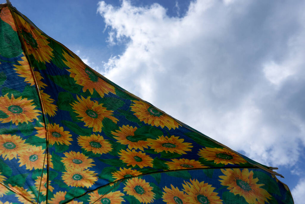 Φωτογραφία ομπρέλας ηλιοτρόπιου το καλοκαίρι - Φωτογραφία, εικόνα