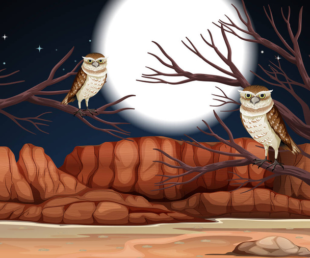 Desert with rock mountains and burrowing owl landscape at night scene illustration - Vector, Image