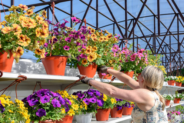 Kukkakaupat nainen työskentelee kukkia kasvihuoneessa. - Valokuva, kuva
