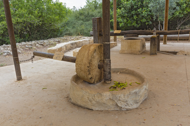 starodawna technologia produkcji oliwy z oliwek. - Zdjęcie, obraz