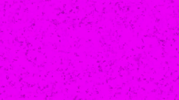 Schwebende Miniaturmotes auf leuchtend rosa Hintergrund, nahtlose Schleife. Animation. Zufällig dynamisch bewegte Teilchen wie vom Wind geblasen, Stop-Motion-Effekt. - Filmmaterial, Video
