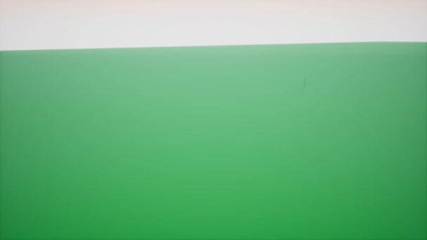 Широкий снимок зеленого 3D моделируемого города, восходящего с зеленой плоскости - Кадры, видео