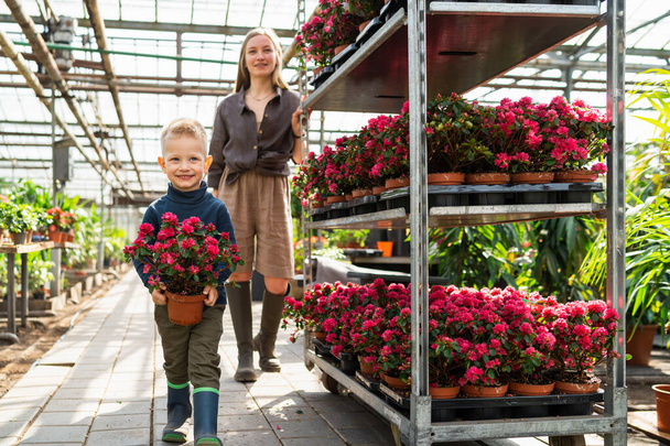 Ragazzo con una pianta in vaso e sua madre con un carrello con fiori in una serra - Foto, immagini