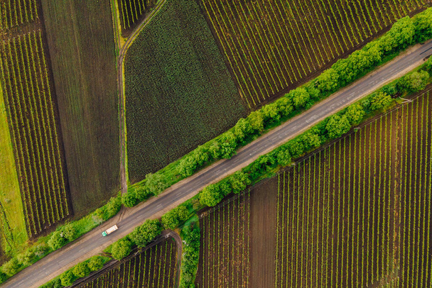 winding country road in the field. - 写真・画像