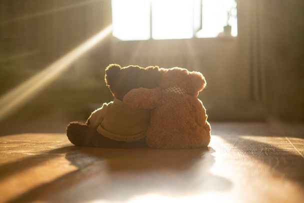 a couple of two teddy bears hug each other, love feelings concept - Foto, Bild