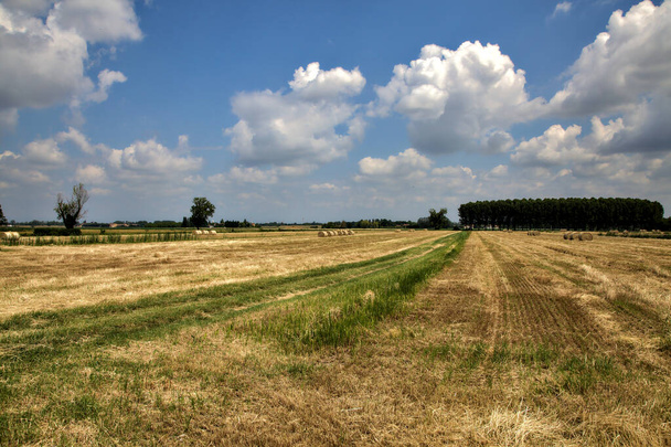 Ploughed fields in the italian countryside in summer with bales of hay - Φωτογραφία, εικόνα