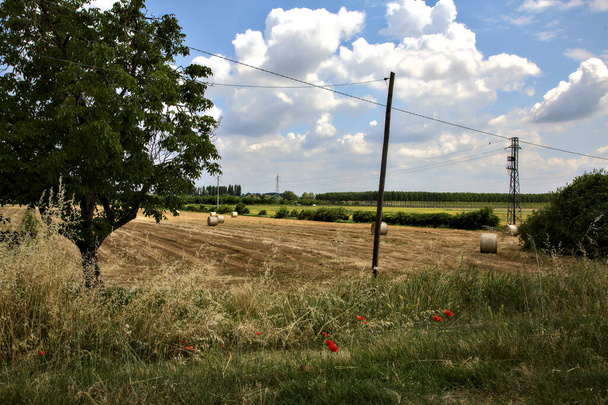 Campos com postes de eletricidade no campo italiano no verão - Foto, Imagem