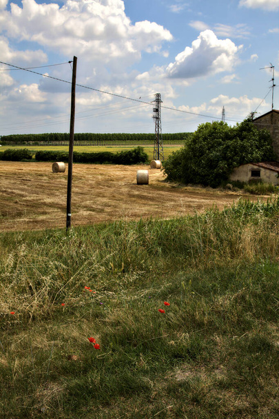 Fields with electricity pylons in the italian countryside in summer - Φωτογραφία, εικόνα