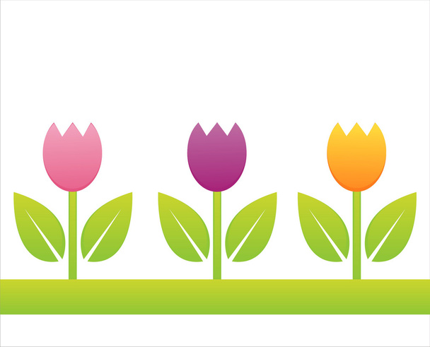 kleurrijke tulpen - Vector, afbeelding