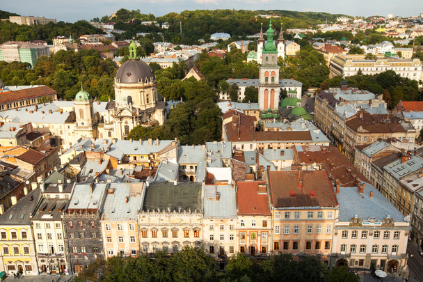 Vista desde el Ayuntamiento de Lviv
 - Foto, imagen
