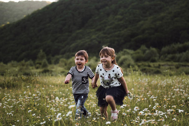 Los niños hermano y hermana corren por el campo de manzanilla alegremente tomados de la mano. Encantadores niños a pie en claro relajarse entre flores hermosas silvestres. Feliz infancia en la naturaleza. - Foto, imagen