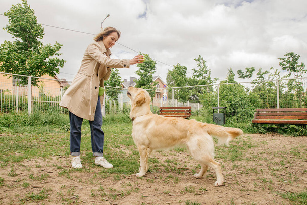 The girl the owner of the dog breed golden retriever gives a ball to her at the dog walking area - Foto, afbeelding