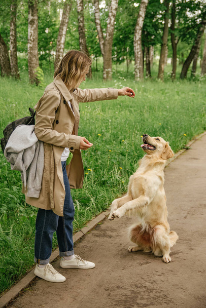 The hostess girl walks in the park with her golden retriever dog - Zdjęcie, obraz
