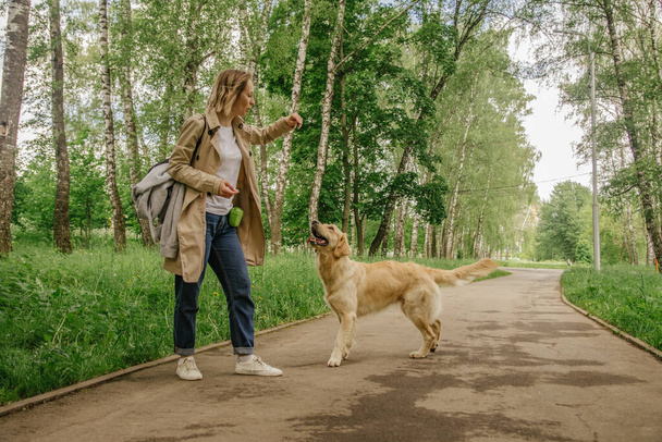 The hostess girl walks in the park with her golden retriever dog - Foto, Imagem