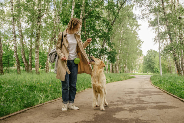 The hostess girl walks in the park with her golden retriever dog - Foto, imagen