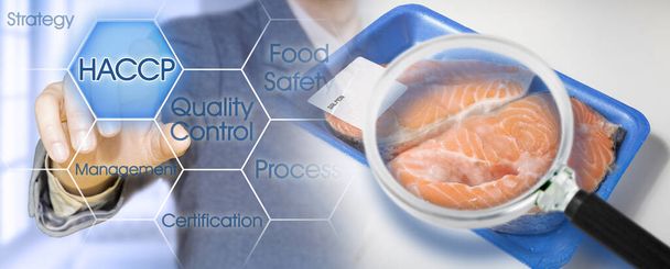 HACCP (Hazard Analyses and Critical Control Points) - Salubrité et contrôle de la qualité des aliments dans l'industrie alimentaire - concept avec saumon de poisson frais dans un bac en plastique avec couvercle en cellophane et loupe.  - Photo, image