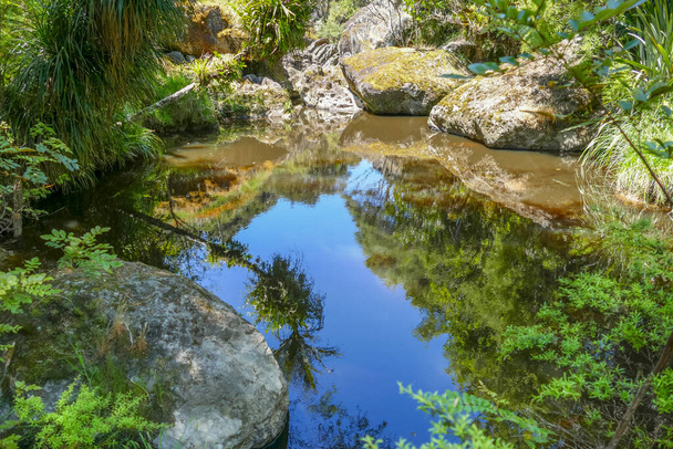 Természetes táj körül Wairere sziklák Új-Zélandon - Fotó, kép