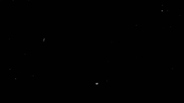 Beyaz hız çizgisi siyah arkaplanda merkezli warp animasyonu çizgisi çizdi - Video, Çekim