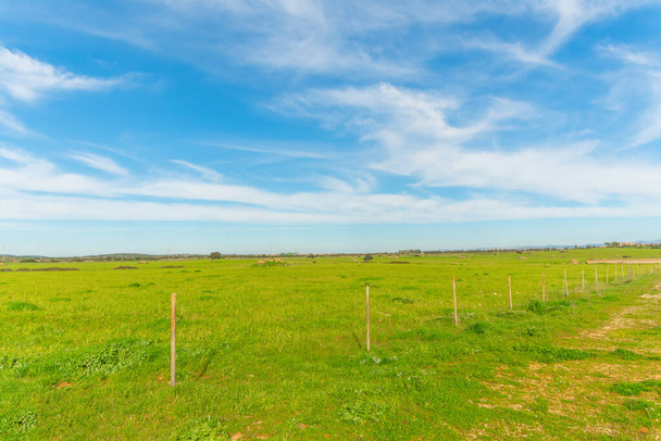 Зеленая трава под голубым небом весной. Фелиния, Италия - Фото, изображение