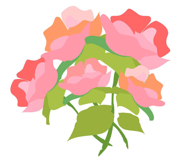 Peony flower, pink peonies. Garden and flowers.Nature - Wektor, obraz