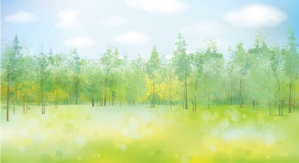 Векторный летний ландшафт.. Голубое небо и зеленый лесной фон. - Вектор,изображение