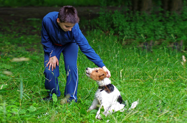 The boy is stroking the dog. Park, summer, green grass - Фото, зображення