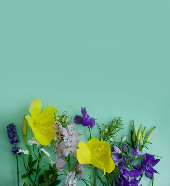 spring flowers on a colored background - Photo, image