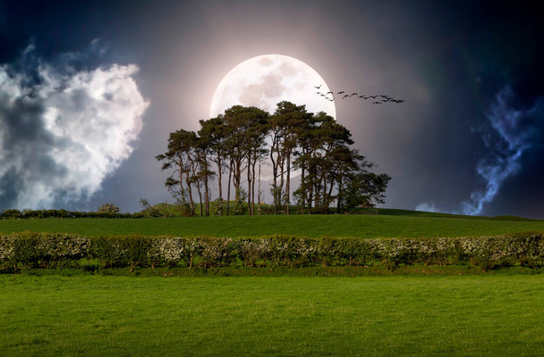 Uma cena de compilação de uma cena campestre de verão de campos gramados, uma linha de árvores, uma super lua e um bando de pássaros. - Foto, Imagem