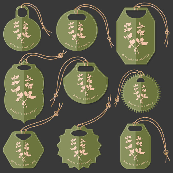 Set of Green Tags on the Dark Background Made in Flat Style with Passiflora Incarnata Herb silhouette. Isolated Group of Hang Tags for Herbal Product Packaging. - Vektor, kép