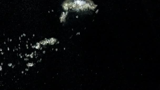 Burbujas de aire en el agua subiendo a la superficie sobre fondo negro aislado - Metraje, vídeo