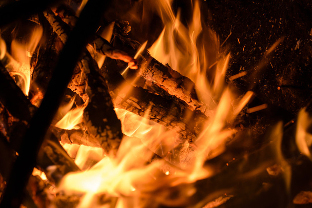 Campfire - Fotografie, Obrázek