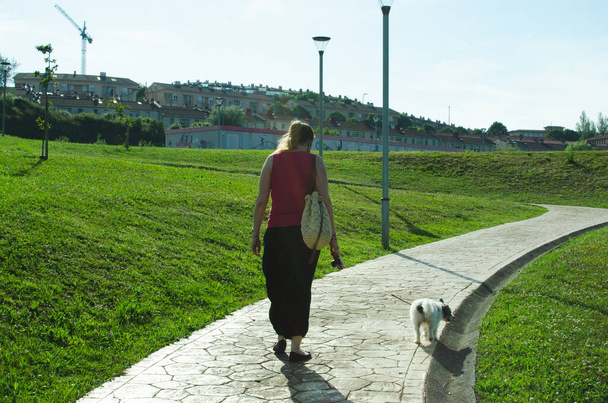 Młoda kobieta z małymi psami spacerująca po parku - Zdjęcie, obraz