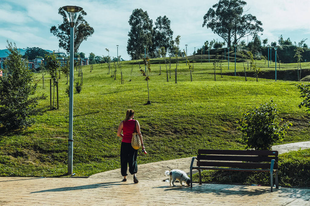 Młoda kobieta z małymi psami spacerująca po parku - Zdjęcie, obraz