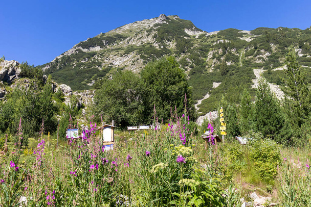 Καλοκαίρι τοπίο του βουνού Pirin κοντά στην καλύβα Vihren, Βουλγαρία - Φωτογραφία, εικόνα